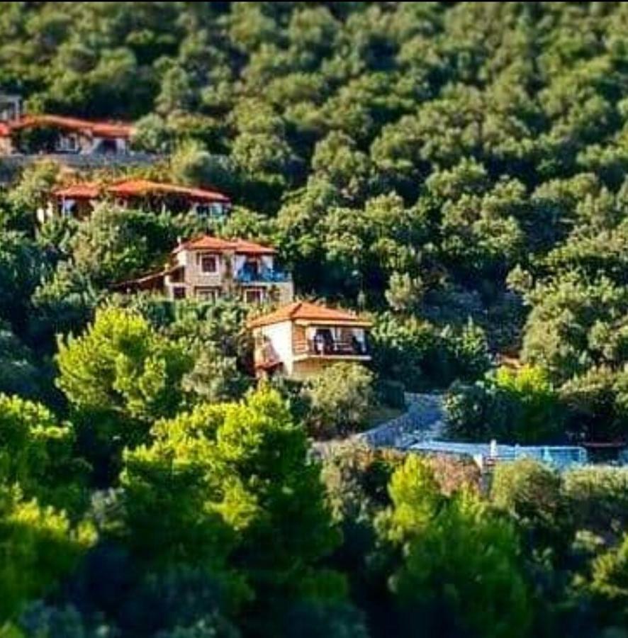 Skiathos Garden Cottages 외부 사진